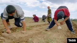 Мигранты из Таджикистана в России