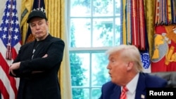 Ілон Маск та Дональд Трамп в Овальному кабінеті