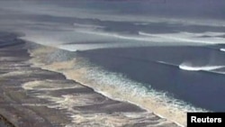 Заминларза ва сунамӣ дар Ҷопон