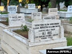 Акышлар гаиләсе бер тирә җирләнгән