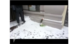 Акция памяти Александра Долматова