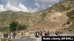 طالبان تاکنون جزئیاتی از افراد غاصب این زمین‌ها ارائه نداده‌اند.
