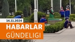 HG: Hazaryň türkmen kenarynda düwlenler, guşlar we balyklar näbelli sebäpden gyrylýar
