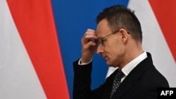 Глава МИД Венгрии Петер Сийярто