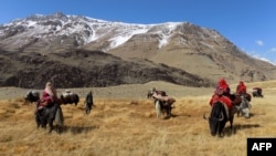 Ооганстандык кыргыздар. 2017-жылы тартылган сүрөт.
