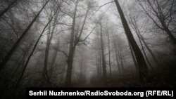 30 листопада вдень пануватиме мінлива хмарність, без опадів