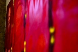 Крамлёўская плашчаніца, 2018 год