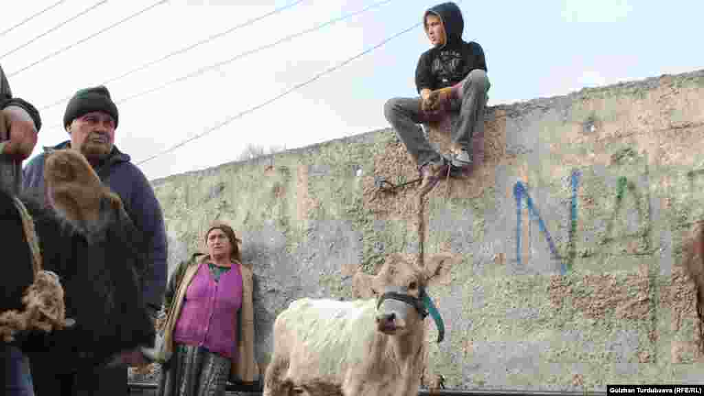 Мальчик на рынке сказал, что если они продадут белого теленка, то купят на вырученные деньги новую обувь и уголь на зиму.&nbsp;