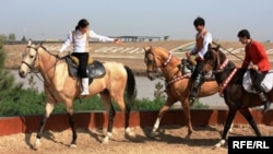 Ахалтекинские лошади. Туркменистан (Фото из архива)  