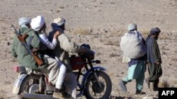 والی فراه در صحبت با رادیو آزادی گفته بود، رهبران طالبان در شهرهای مشهد، کرمان و یزد زنده‎گی می‌کنند و برای انجام فعالیت‌های هراس افگنانه به افغانستان می‌آیند.