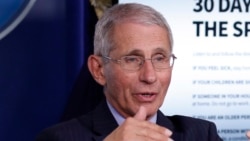 Энтони Фаучи.