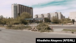 Срубленные для расширения дороги деревья на улице Глинки в Семее. 24 июня 2020 года.
