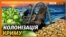 Чому українці були успішнішими за росіян у Криму?