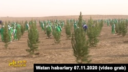 Ählihalk bag ekmek çäresine gatnaşýan talyplar we býujet işgärleri. Türkmenistanyň "Altyn Asyr" telekanalyndan alnan surat. (Arhiw suraty)