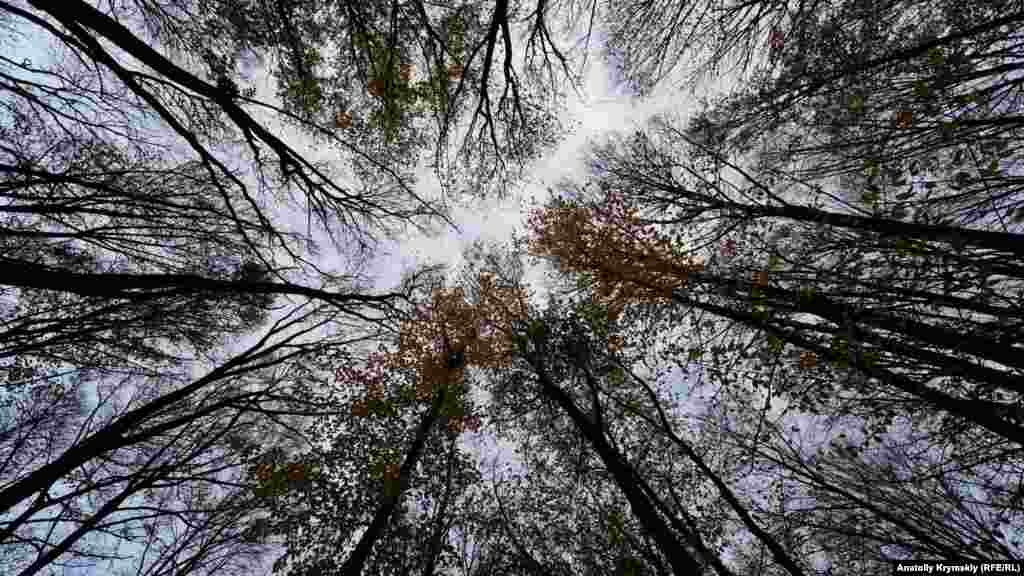 Сурб-Хач, який пережив періоди занепаду і відновлення, залишається важливою святинею нинішньої вірменської громади в Криму і пам&#39;яткою культурної спадщини національного значення України. Більше краєвидів середньовічного монастиря &ndash; у фотогалереї