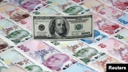 Түрк лирасы жыл башынан бери долларга карата 40% наркын жоготту. 