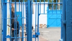 Ваша Свобода | Закон Савченко: скасувати чи скорегувати?