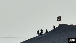 Боевики экстремистской группировки "Исламское государство" подняли свой флаг на горе в сирийском городе Кобани, который по-арабски называется Айн аль-Араб