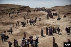 Ирактын түндүгүндөгү Синжар шаарынан Күрдистан автономиясын көздөй качып бараткан бозгундар.4-август, 2014