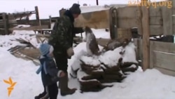 Навоз как топливо и как доход в бюджет