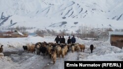 Чоң-Алай району