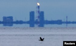 "Газпром" сжигает газ, который не подается по "Северному потоку – 1". Побережье Финского залива в Ленинградской области