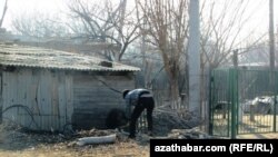 Мужчина рубит дрова в туркменском селе Сарыжа. 6 января 2014 года.
