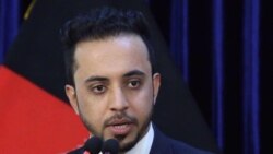 جاوید فیصل سخنگوی شورای امنیت