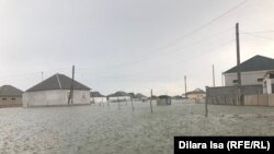 Түркстан облусунун суу алдында калган Өргебас айылы, 3-май, 2020-жыл.