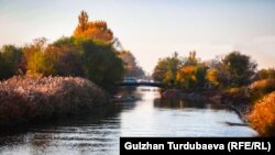 7-сентябрда Бишкекте күн ачык болот. 