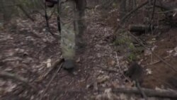 Что происходит на фронте на фоне переговоров о мире
