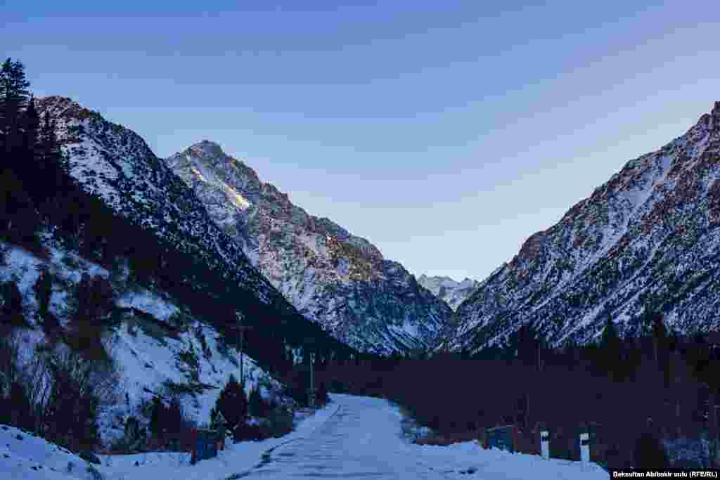 Ала-Арчадагы күүгүм.&nbsp;