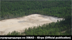 «Рекультивированный» участок поисковой скважины с захороненными отходами бурения. ОАО «Сургутнефтегаз», Рогожниковский лицензионный участок. 2011 год.