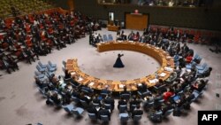 Засідання Ради безпеки ООН, архівне фото