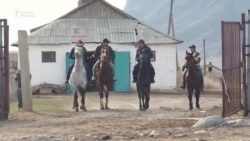 Талас: «Жылдызы жанбаган» жылкы заводу