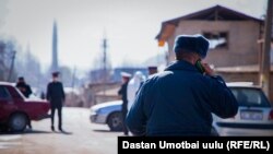 Ноокатский район.