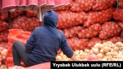 Кыргызстанда пиязды сыртка экспорттоого 31-январдан тартып үч айга тыюу салынган.