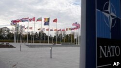 НАТОнун Брюсселдеги башкы кеңсесинде альянска мүчө мамлекеттердин желектери. Архив сүрөт. 