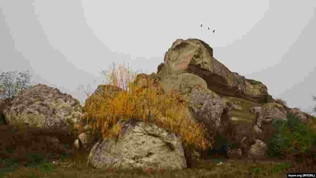 Масив Сирт-Кая, на якому збереглися руїни скіфської фортеці