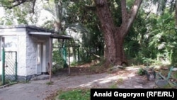 Незадачливый киллер облюбовал эту площадку в густой тени деревьев для покушения на жизнь некоего лица, проезжавшего внизу, по автотрассе