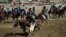 The suicide bomber struck after a buzkashi match, an Afghan and Central Asian sport similar to polo but played with a goat carcass instead of a ball. (file photo)