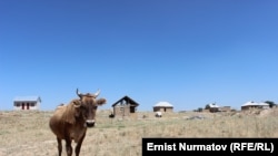 Иллюстрациялык сүрөт.