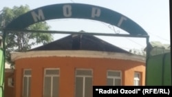 В этом МОРГе хранятся части тел двух убитых женщин