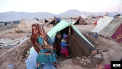 آرشیف، بیجا شده های داخلی در ولایت بادغیس