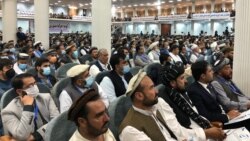 اعضای لویه جرگه مشورتی صلح