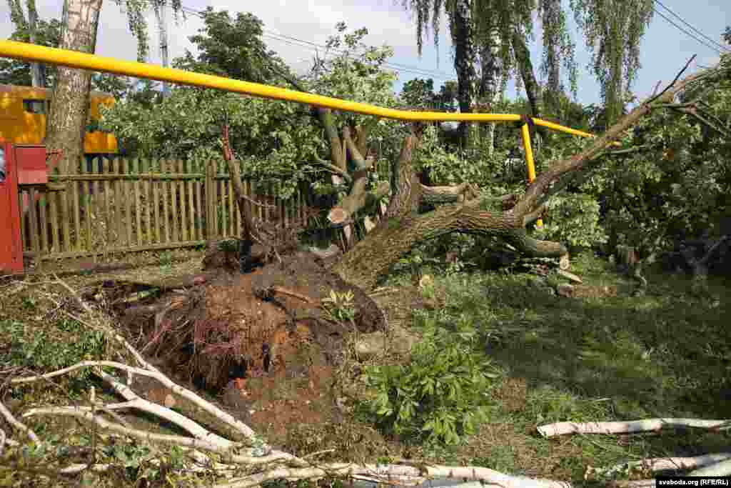 Газаправод прабіла паваленым дрэвам