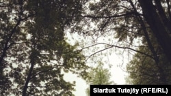 ФОТА ДНЯ: Беларускія краявіды. Сяржук Тутэйшы.