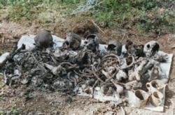 Викопані із спільної могили останки розстріляних НКВД у Сандармоху людей.