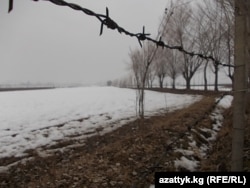 Кыргыз-өзбек чек арасындагы зым тосмо.