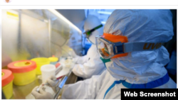 Сўнгги бир кун ичида Қозоғистонда яна 15 одам вирусга чалинди.